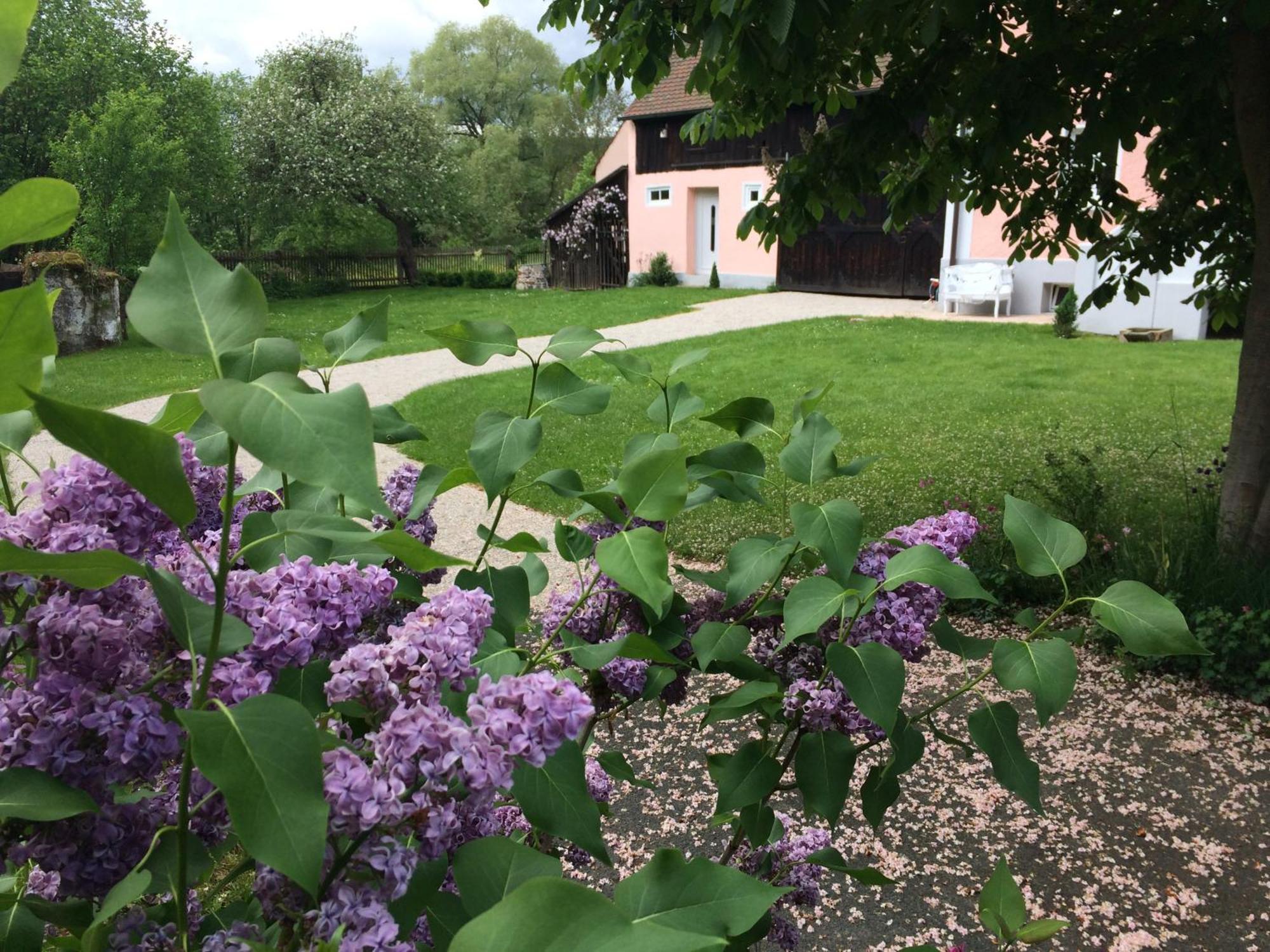 Landhaus Am Schloss Schnabelwaid Екстериор снимка